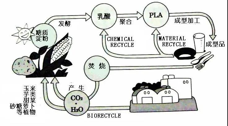 可生物降解環(huán)保塑料可以回收再利用嗎？(圖4)