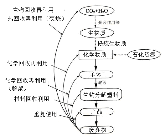 生物分解塑料的回收再利用技術(shù)-生物降解環(huán)保塑(圖1)