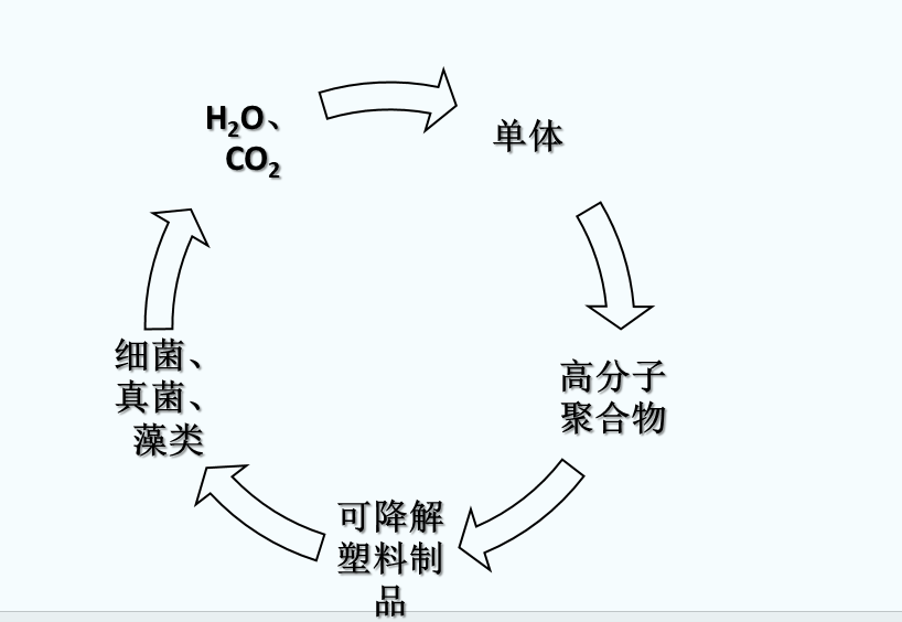 什么是可生物降解塑料？(圖1)